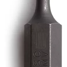 Punta Torx Bremen T30 Corto Encastre 10mm Largo 30mm
